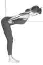yoga standing forward bend flexible