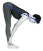 yoga standing forward bend very flexible